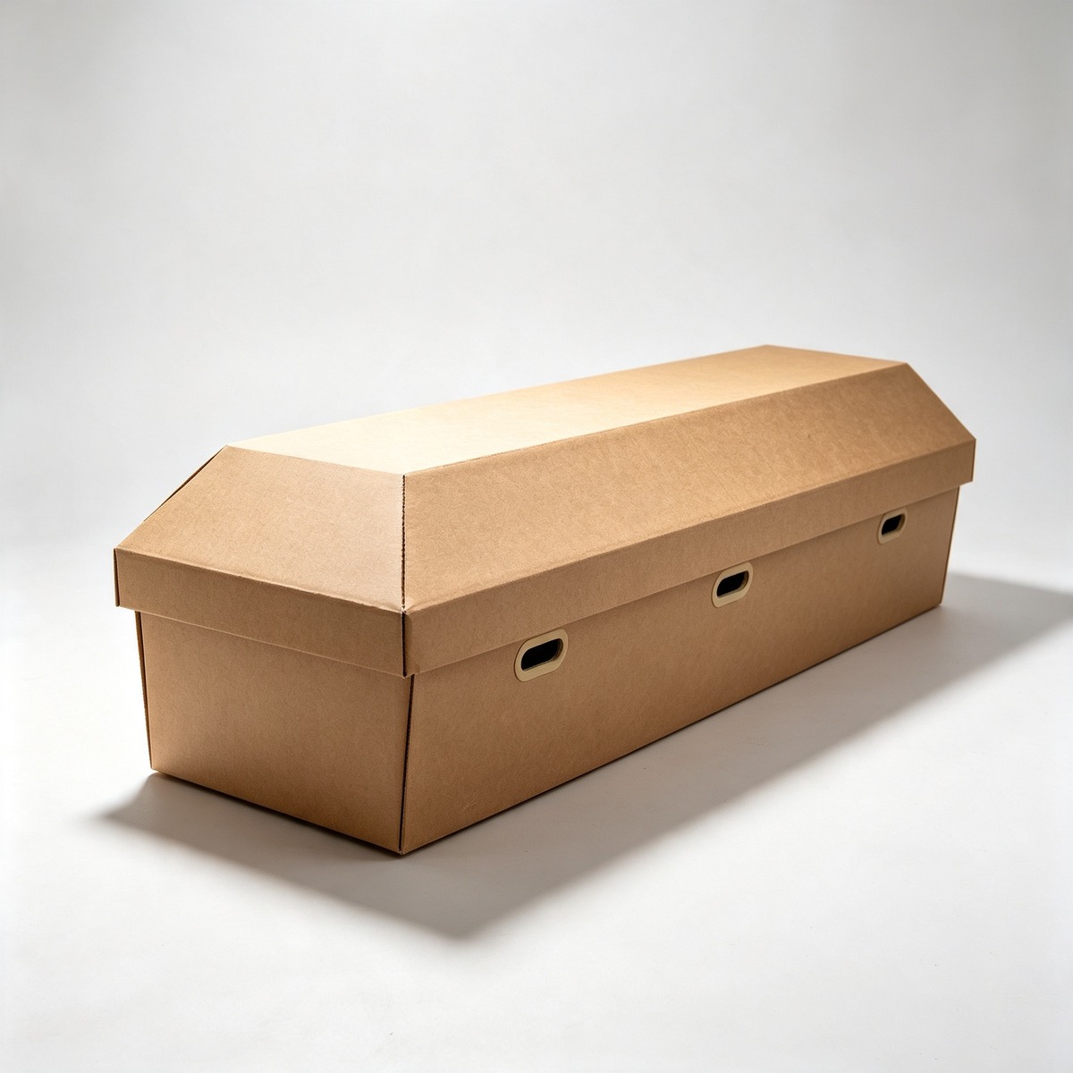 Eco Corrugated Cremation Coffin (Fushou Ruyi)